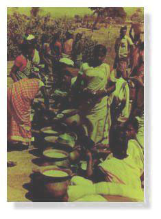 toddy1.jpg (22259 bytes)